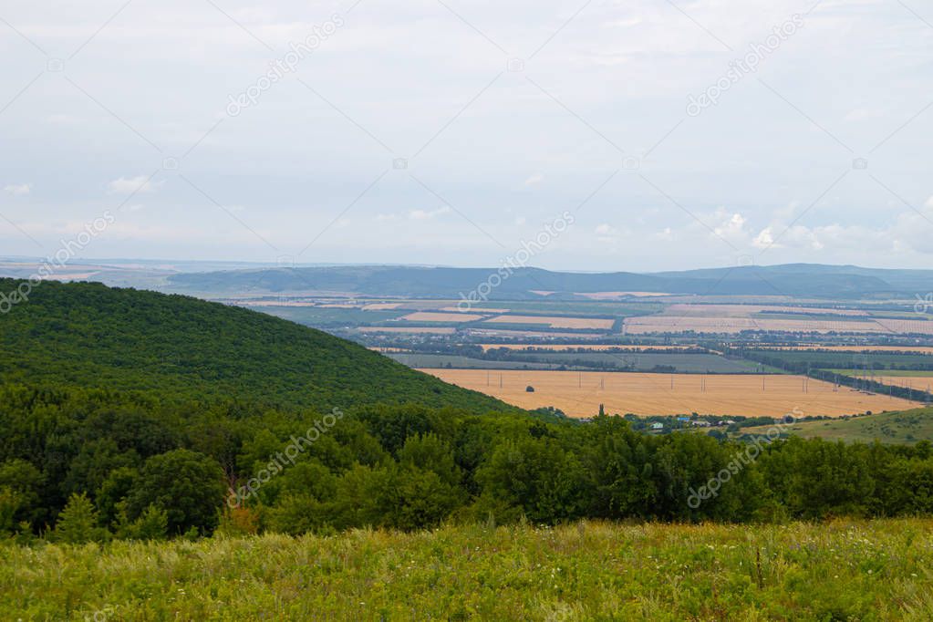 Field with low mountains and trees, Anapsky district, Russia