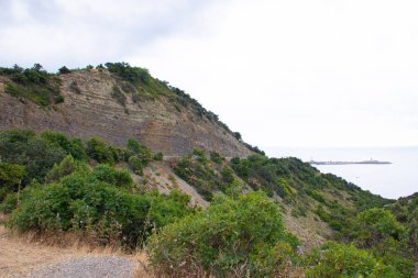 Düşük dağlar ve ağaçlar ile Alan, Anapsky ilçe, Rusya