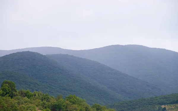 Campo Con Montañas Bajas Árboles Distrito Anapsky Rusia — Foto de Stock