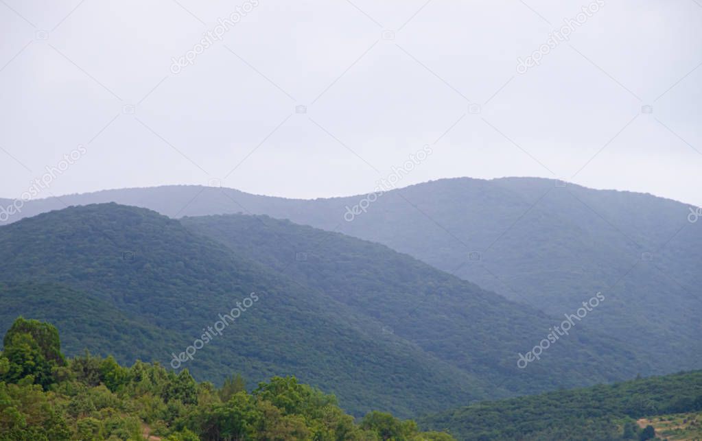 Field with low mountains and trees, Anapsky district, Russia