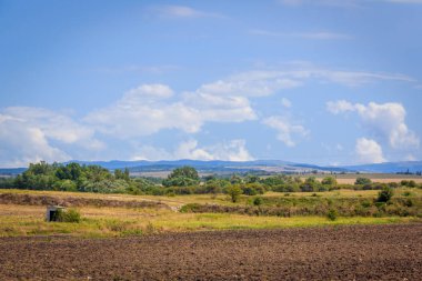 Kırım tarlaları, gündüz yaz manzaraları 