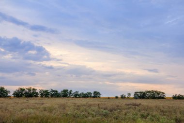 Kırım tarlaları, gündüz yaz manzaraları 