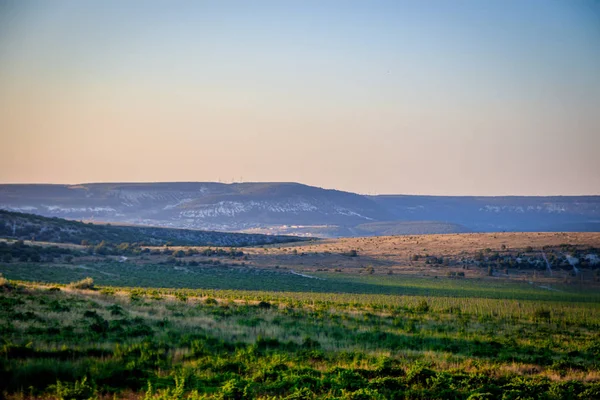 Campi Crimea Paesaggi Estivi Giorno — Foto Stock