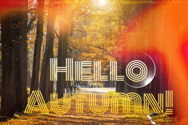 Banner merhaba sonbahar. Yeni ay. Tebrik kartı. Altın sonbahar. Parkta sonbahar. Fotoğraftaki metin. Sonbahar parkında ağaçlar.