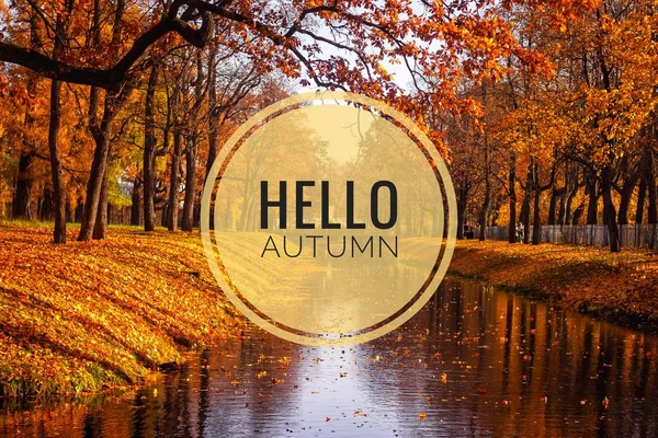 Banner hello autumn. New month. Greeting card. Golden autumn. Autumn in the park. The text in the photo. Trees in the autumn park.