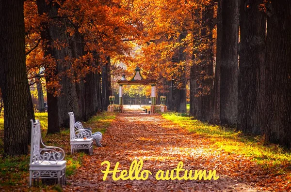 Banner hello autumn. New month. Greeting card. Golden autumn. Autumn in the park. The text in the photo. Trees in the autumn park.