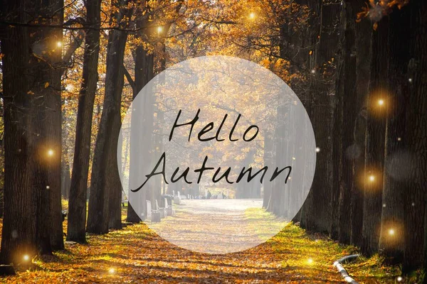Plakát Hello podzim. Nový měsíc. Přání. Zlatý podzim. Podzim v parku. Text na fotografii. Stromy v podzimním parku. — Stock fotografie