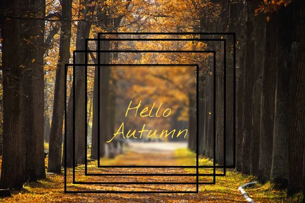 Banner hello autumn. New month. Greeting card. Golden autumn. Autumn in the park. The text in the photo. Trees in the autumn park.