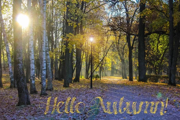 バナーこんにちは秋。新しい月。グリーティング カード。黄金の秋公園の秋。写真のテキスト。秋の公園の木々. — ストック写真