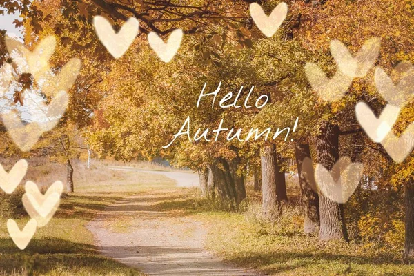 Banner hello autumn. New month. Greeting card. Golden autumn. Autumn in the park. The text in the photo. Trees in the autumn park. — Stock Photo, Image