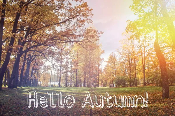 Banner Hello höst. Ny månad. Gratulationskort. Gyllene höst. Höst i parken. Texten i fotot. Träd i höst parken. — Stockfoto