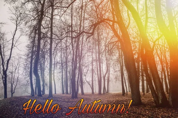 Banner hello autumn. New month. Greeting card. Golden autumn. Autumn in the park. The text in the photo. Trees in the autumn park.