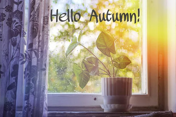 Banner hello autumn. New month. Greeting card. Golden autumn. The text in the photo. Seasons . Leaves. Tree branch. Plants