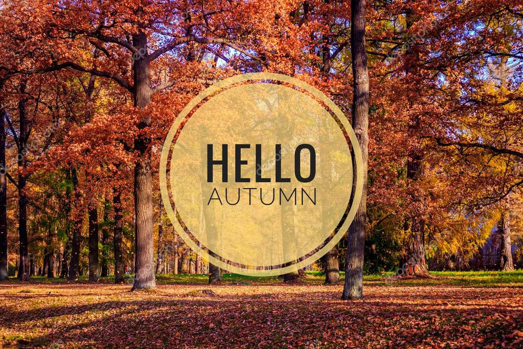 Banner hello autumn. New month. Greeting card. Golden autumn. Autumn in the park. The text in the photo. Trees in the autumn park. Seasons