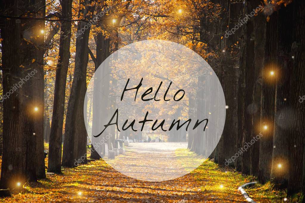 Banner hello autumn. New month. Greeting card. Golden autumn. Autumn in the park. The text in the photo. Trees in the autumn park. Seasons