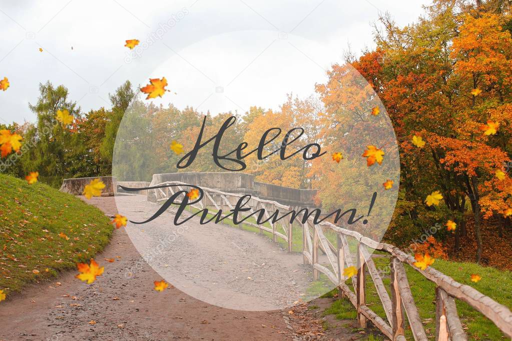 Banner hello autumn. New month. Greeting card. Golden autumn. Autumn in the park. The text in the photo. Trees in the autumn park. Seasons