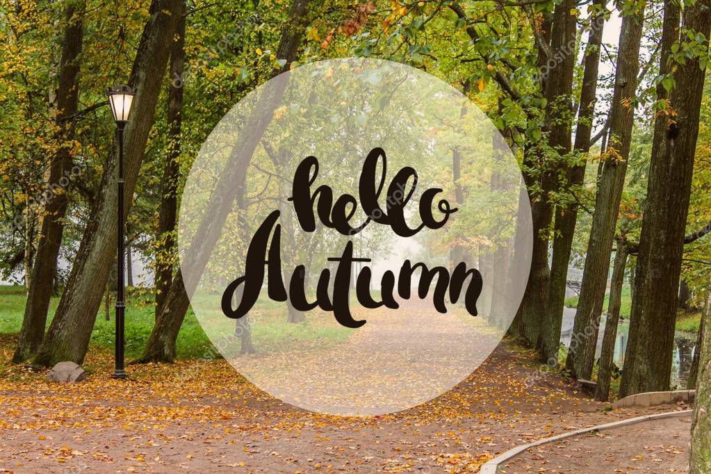 Banner hello autumn. New month. Greeting card. Golden autumn. Autumn in the park. The text in the photo. Trees in the autumn park. Seasons