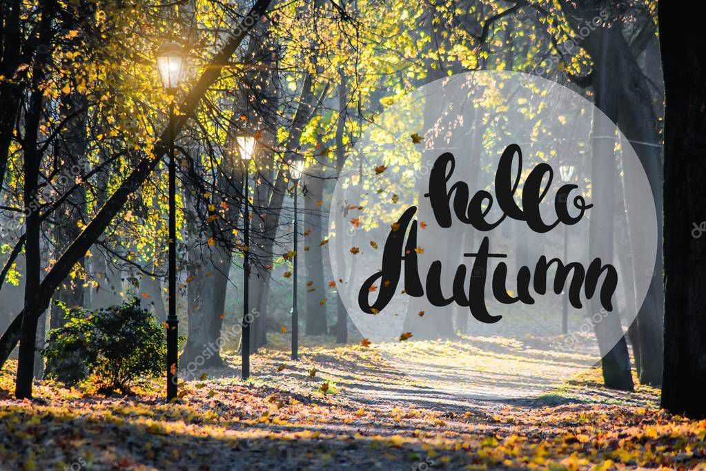 Banner hello autumn. New month. Greeting card. Golden autumn. Autumn in the park. The text in the photo. Trees in the autumn park. Seasons