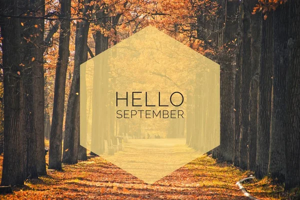 Hello September banner. New month. Greeting card. Golden autumn. The text in the photo. Trees in the park. City Park. Autumn Park — Stock Photo, Image