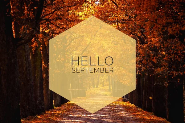 Hello September banner. New month. Greeting card. Golden autumn. The text in the photo. Trees in the park. City Park. Autumn Park — Stock Photo, Image