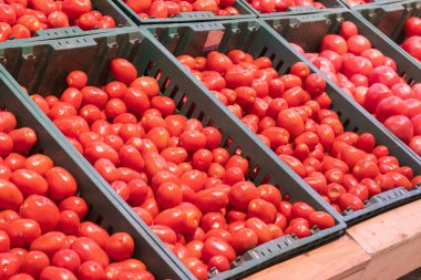 süpermarkette domates ile vitrin yakın