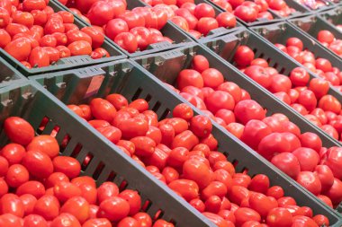süpermarkette domates ile vitrin yakın