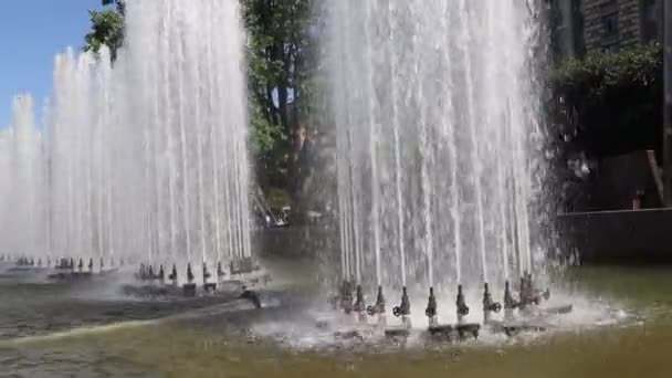 Spettacolo Acquatico Con Fontane Parco Durante Giorno — Video Stock