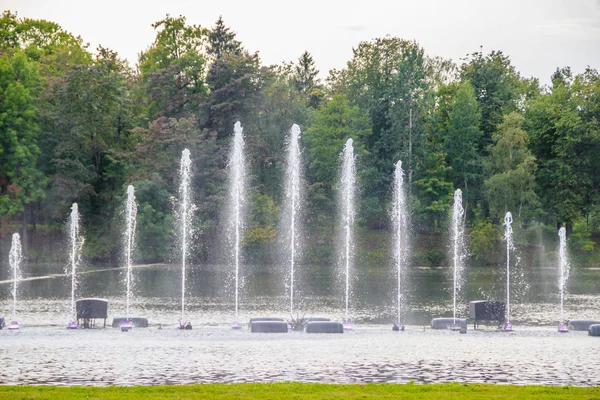 Spectacle Aquatique Avec Fontaines Dans Parc Journée — Photo