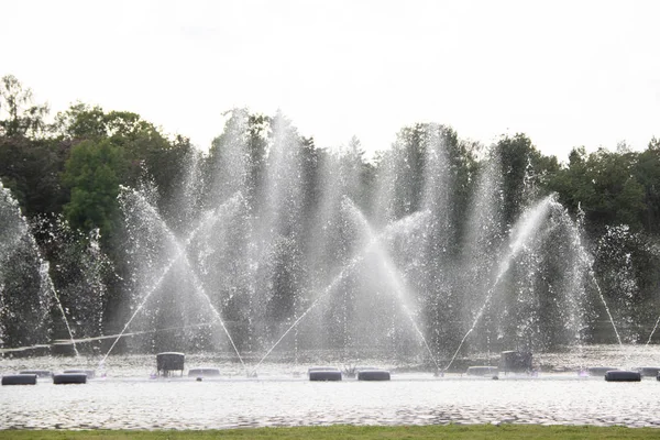 Water Show Met Fonteinen Park Overdag — Stockfoto