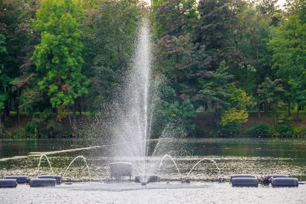 白天在公园里有喷泉的水秀 — 图库照片