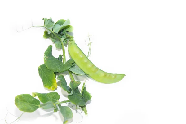 白い背景に隔離されたグリーンピース 健康的な栄養概念 — ストック写真