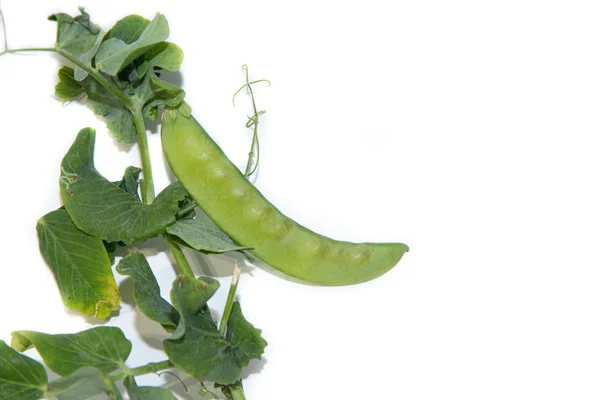 Zelený Hrášek Izolovaný Bílém Pozadí Koncepce Zdravé Výživy — Stock fotografie