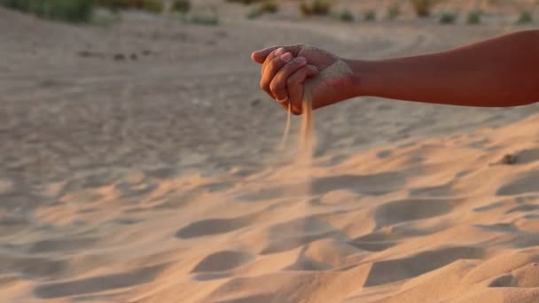 Pojke Hälla Sand Med Handen Stranden — Stockvideo