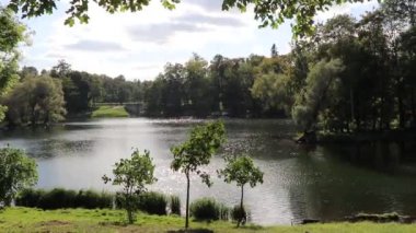 Gündüz vakti sonbahar parkındaki göl manzarası
