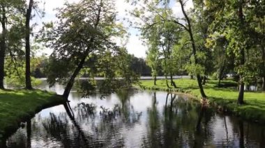 Gündüz vakti sonbahar parkındaki göl manzarası