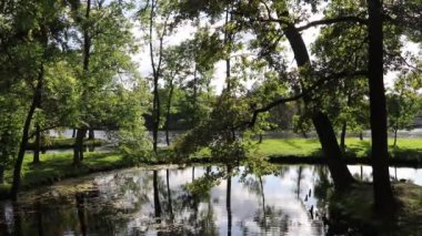Gündüz vakti sonbahar parkındaki göl manzarası