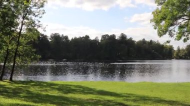 Gündüz vakti sonbahar parkındaki göl manzarası