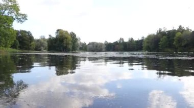 Gündüz vakti sonbahar parkındaki göl manzarası