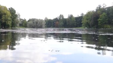 Gündüz vakti sonbahar parkındaki göl manzarası