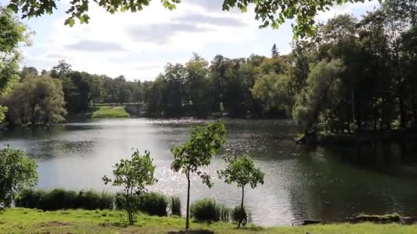 Blick Auf Den See Herbst Park Bei Tag — Stockvideo