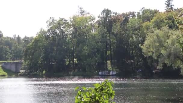 Vista Del Lago Parque Otoño Durante Día — Vídeo de stock