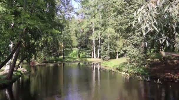 Vue Sur Lac Dans Parc Automne Pendant Journée — Video