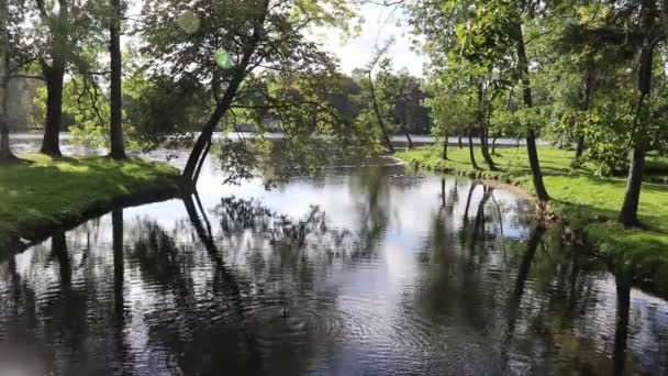 昼間の秋の公園の湖の眺め — ストック動画