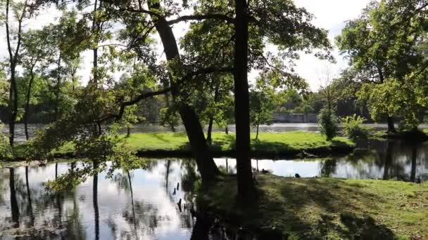 Vue Sur Lac Dans Parc Automne Pendant Journée — Video