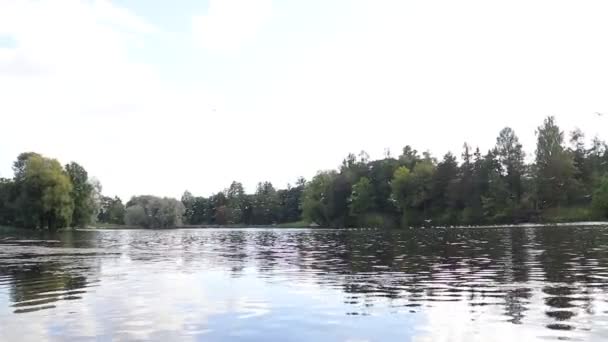 Θέα Της Λίμνης Στο Πάρκο Φθινόπωρο Την Ημέρα — Αρχείο Βίντεο