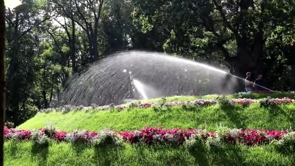 Parku Zalévává Květiny Trávníky Zalévání Rostlin Letním Horkém Počasí Zalévat — Stock video
