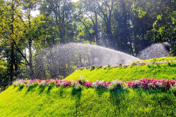 Podlewania kwiatów i trawników w parku. Podlewanie roślin. Podlewanie kwiatów w lecie gorąca Pogoda — Zdjęcie stockowe