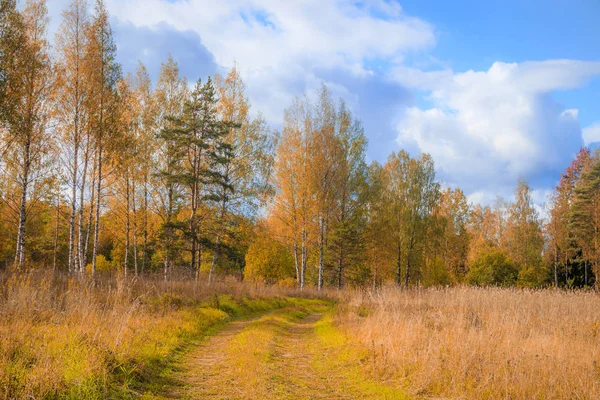 Soleado paisaje otoñal en el campo. La naturaleza de Rusia. Otoño dorado. Árboles amarillos . — Foto de Stock