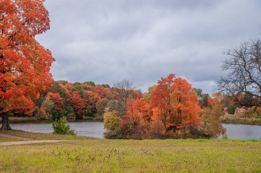 Autumn Park manzarası. Altın sonbahar. Sonbahar parkında sarı ağaçlarla güneşli bir gün. Güzel manzara.