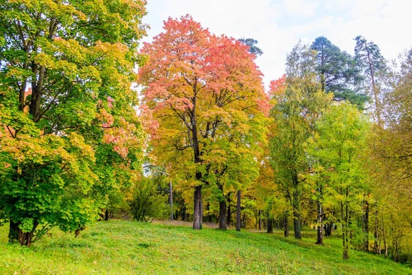 Φθινοπωρινό πάρκο τοπίο. Χρυσό φθινόπωρο. Ηλιόλουστη μέρα στο πάρκο του φθινοπώρου με κίτρινα δέντρα. Όμορφο τοπίο. — Φωτογραφία Αρχείου